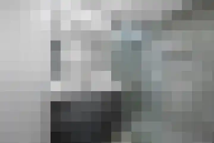 De Hoven 83 Zwartemeer thumbnail 16