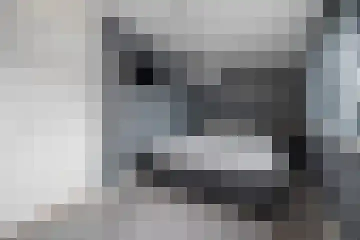 De Hoven 83 Zwartemeer thumbnail 23