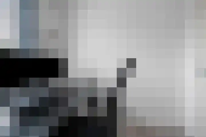 De Hoven 83 Zwartemeer thumbnail 28
