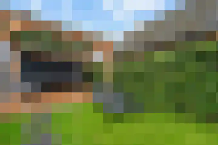 De Hoven 83 Zwartemeer thumbnail 30