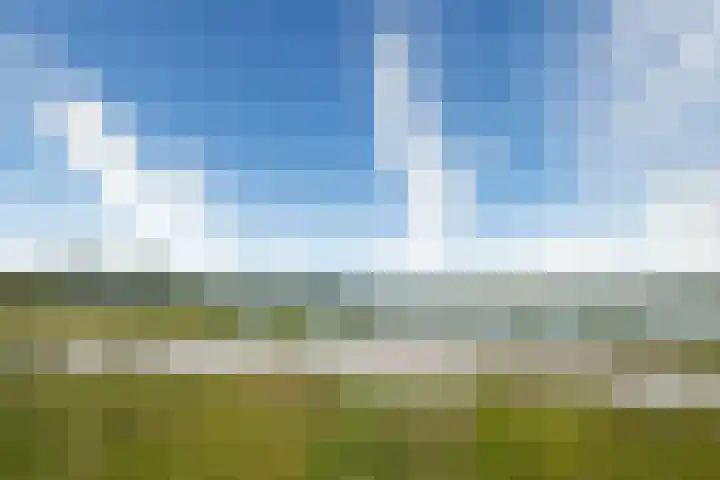 De Hoven 83 Zwartemeer thumbnail 40