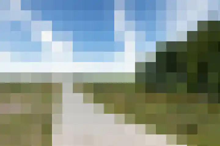 De Hoven 83 Zwartemeer thumbnail 41