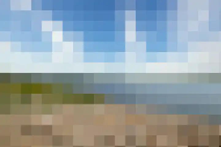 De Hoven 83 Zwartemeer thumbnail 42