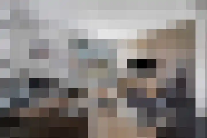 De Hoven 83 Zwartemeer thumbnail 6