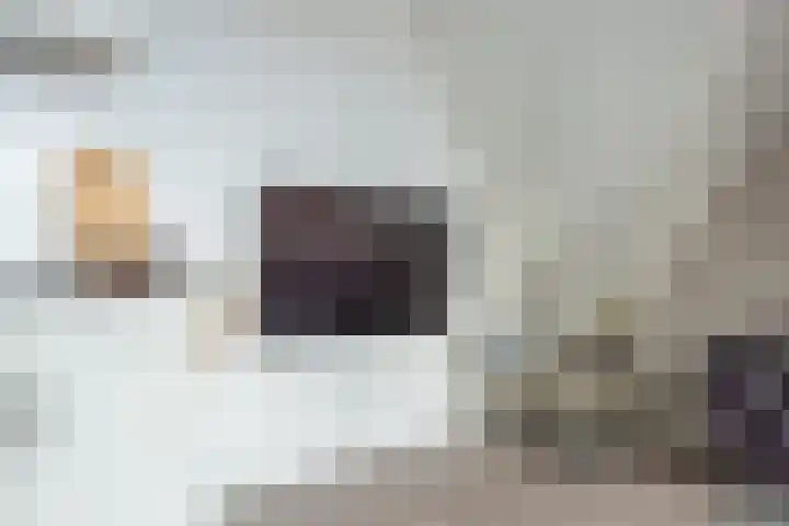 De Hoven 9 Barneveld thumbnail 13