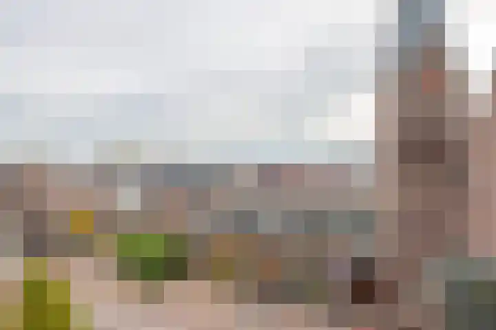 De Hoven 9 Barneveld thumbnail 32