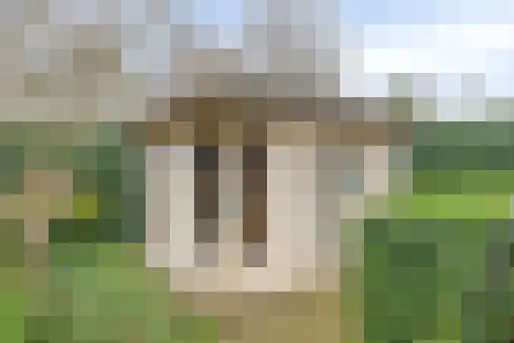 De Hovenier 9 Veldhoven thumbnail 43