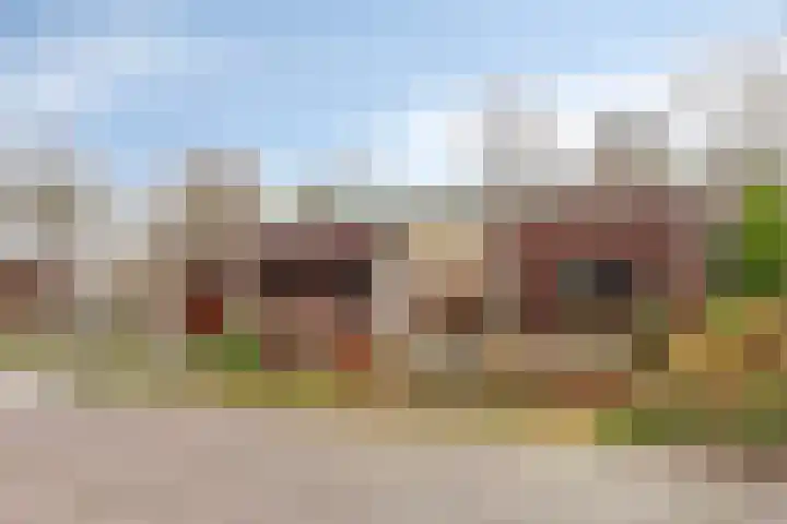 De Hovenier 9 Veldhoven thumbnail 5