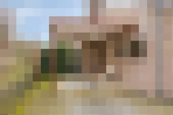 De Hovenier 9 Veldhoven thumbnail 6