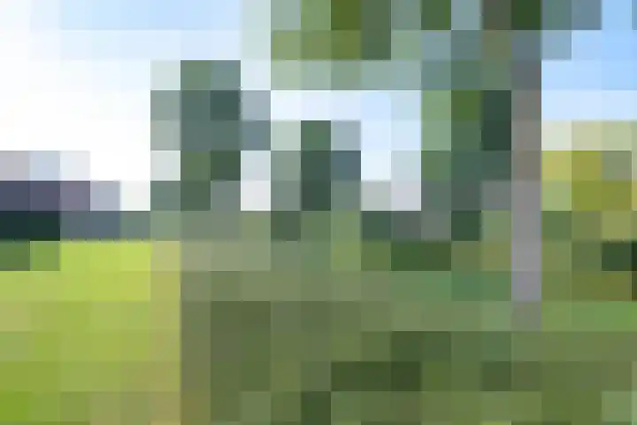 De Hovenlaan 119 Apeldoorn thumbnail 22