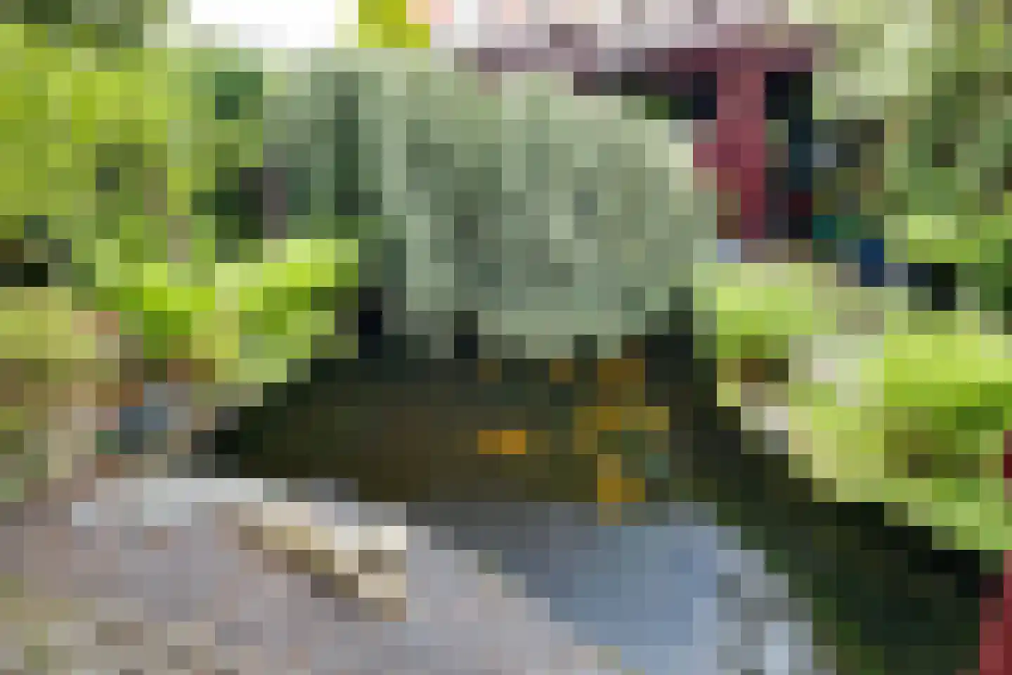 De Hovenlaan 42 Apeldoorn thumbnail 30