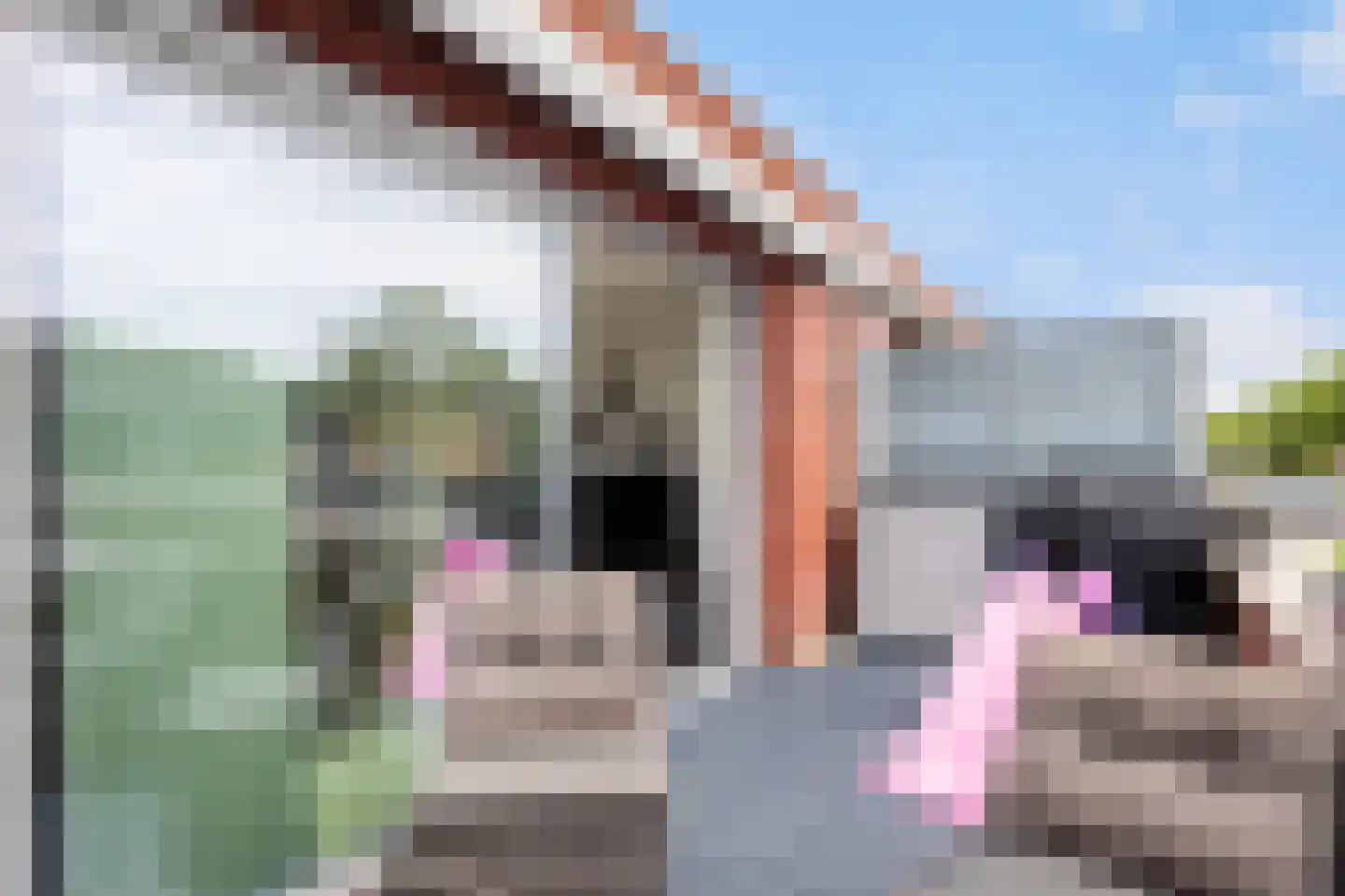 De Hovenlaan 79 Apeldoorn thumbnail 26