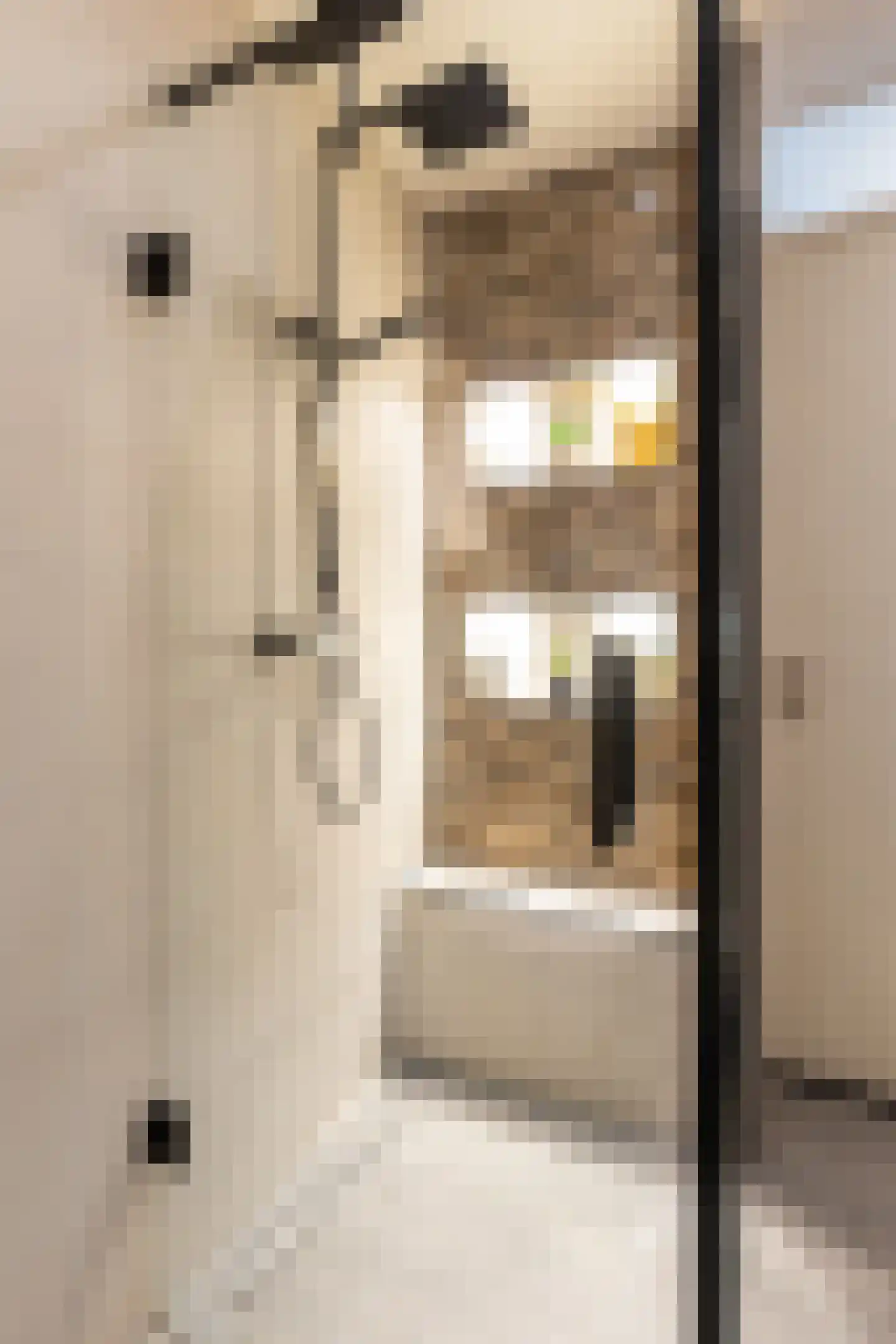De Hovenlaan 79 Apeldoorn thumbnail 8