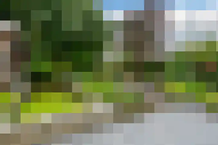 De Hovenlaan 82 Apeldoorn thumbnail 33