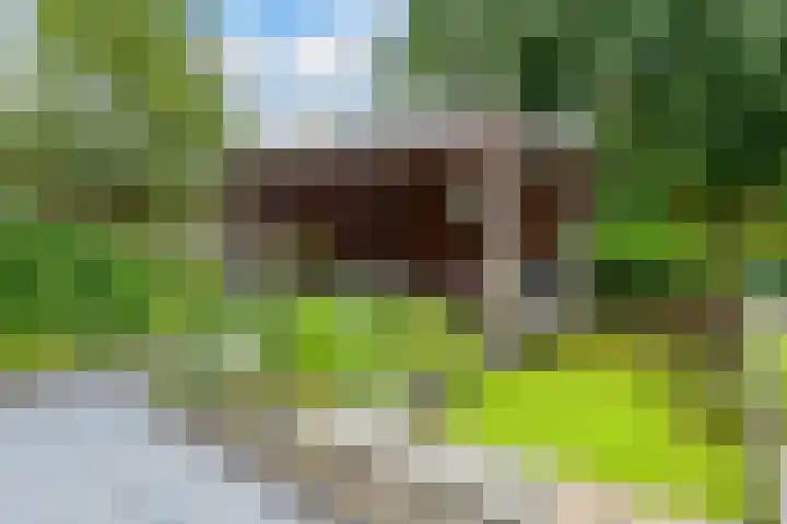 De Hovenlaan 82 Apeldoorn thumbnail 34