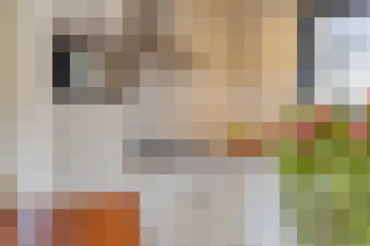 De Hucht 1 's-Heerenberg thumbnail 11