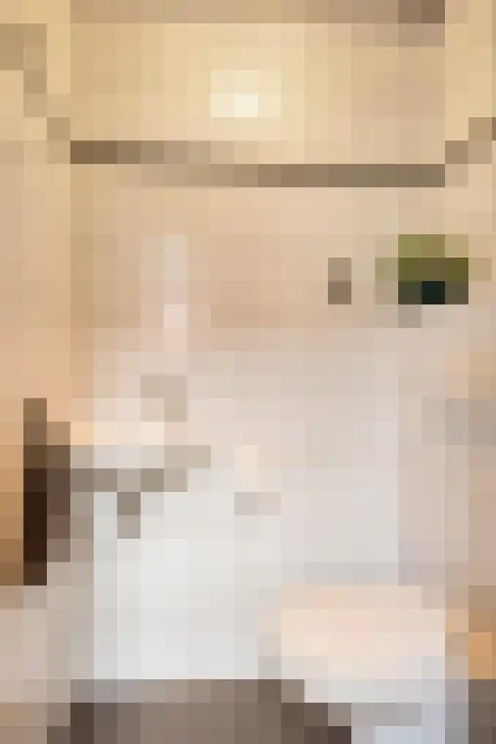 De Hucht 1 's-Heerenberg thumbnail 13