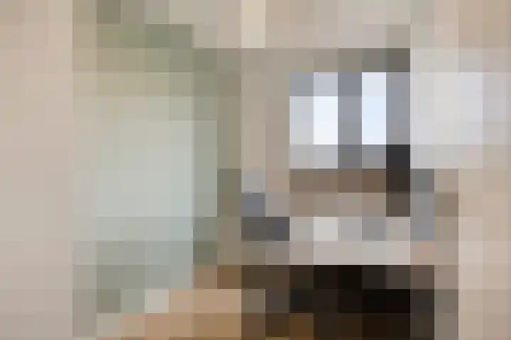 De Hucht 1 's-Heerenberg thumbnail 25