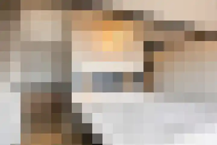 De Hucht 1 's-Heerenberg thumbnail 30