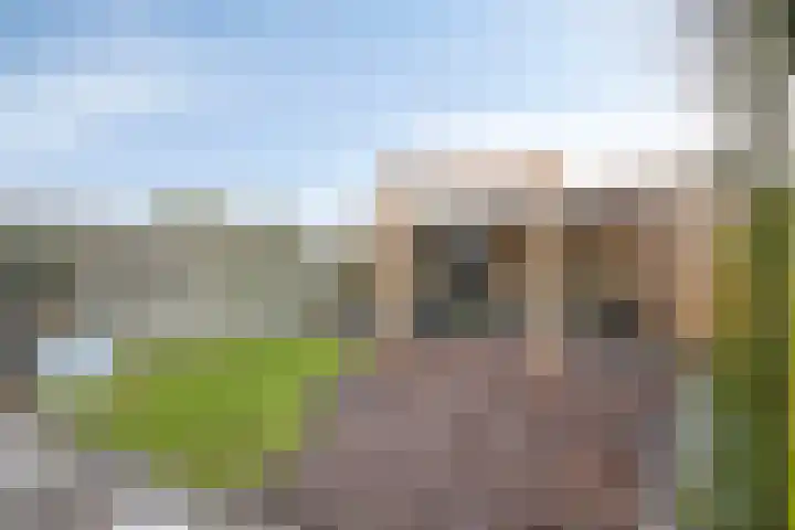 De Hucht 1 's-Heerenberg thumbnail 34