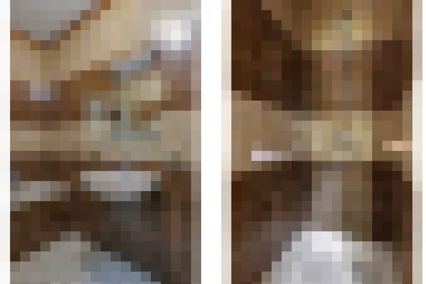 De Hucht 4 Herveld thumbnail 35