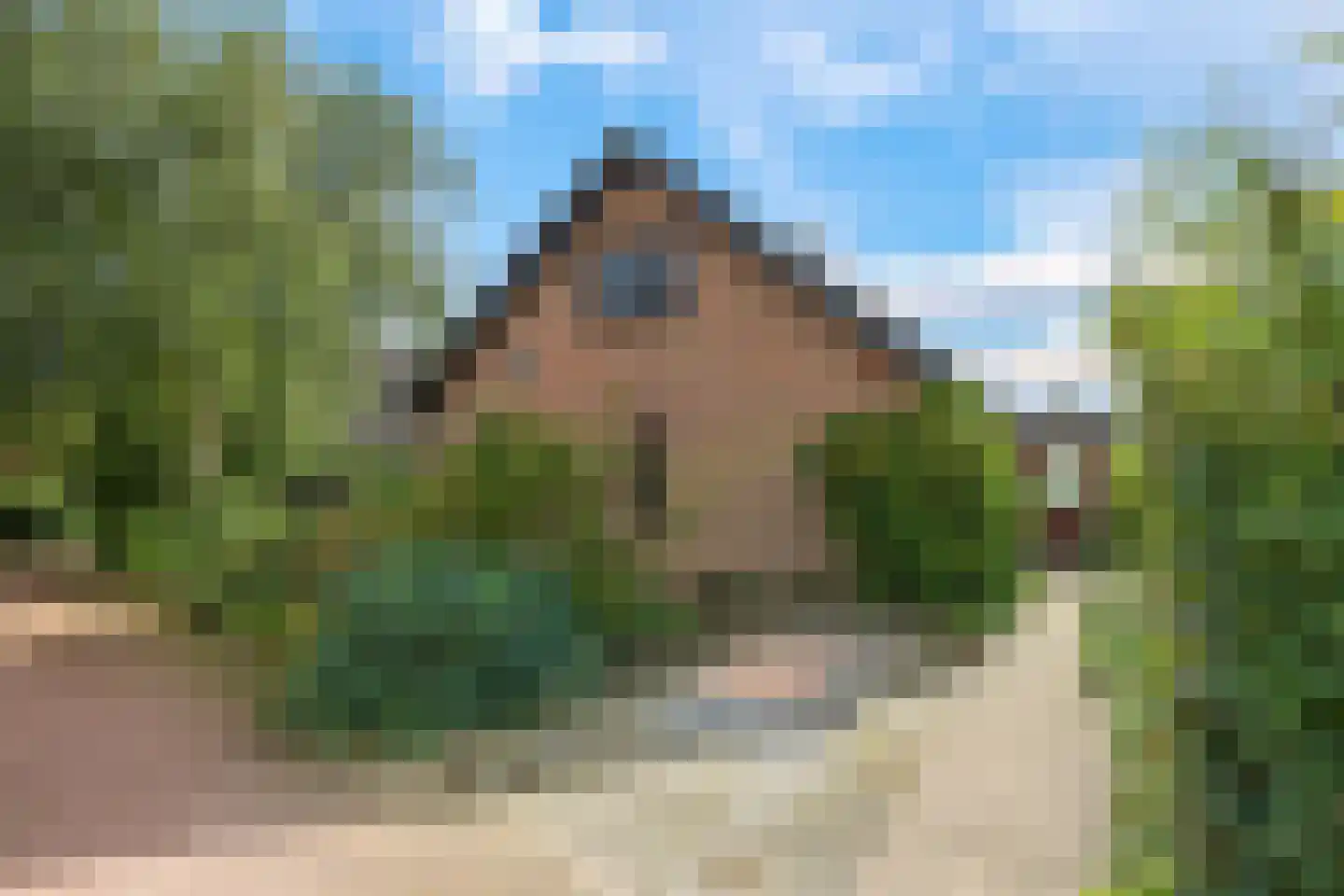 De Hucht 4 Herveld thumbnail 4