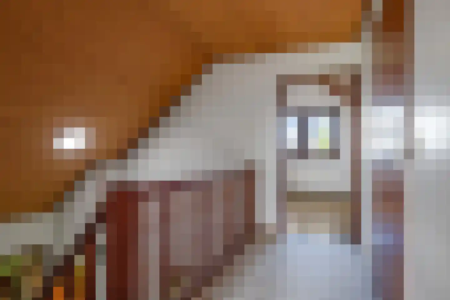 De Hucht 4 Herveld thumbnail 44