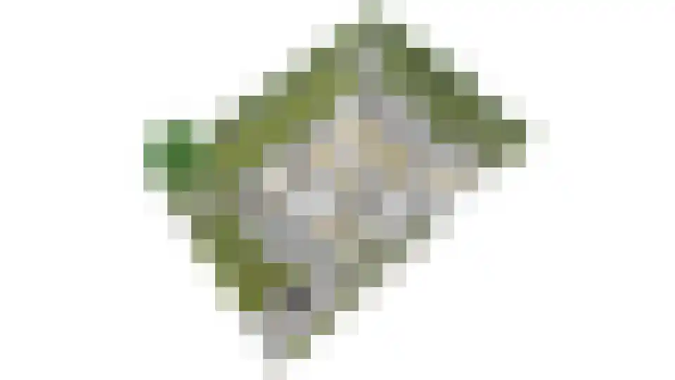 De Hucht 4 Herveld thumbnail 50