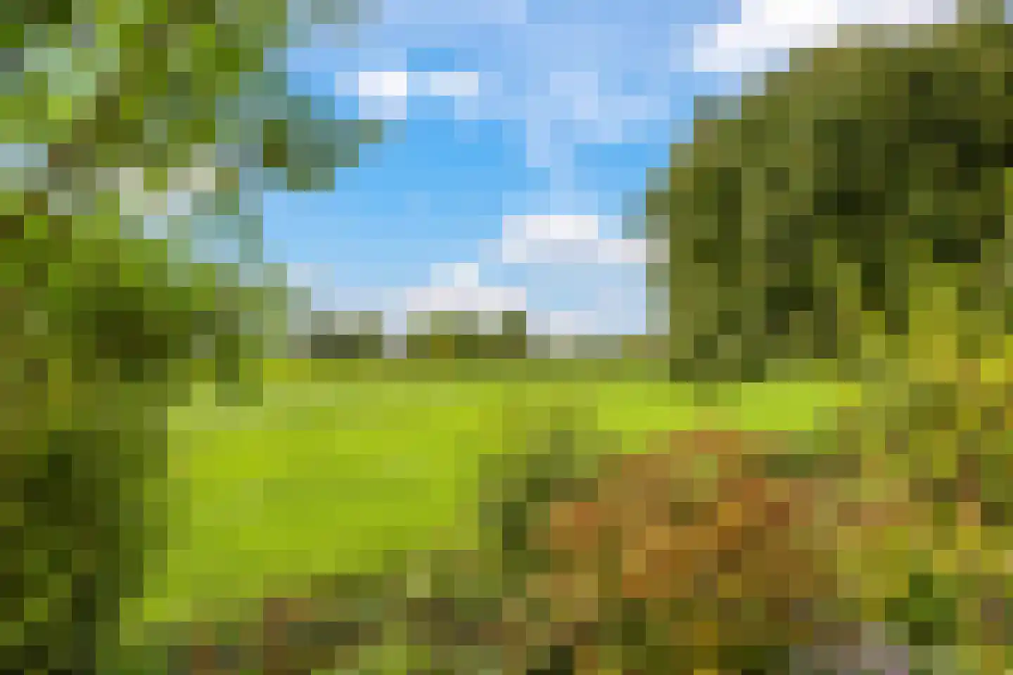 De Hucht 4 Herveld thumbnail 53