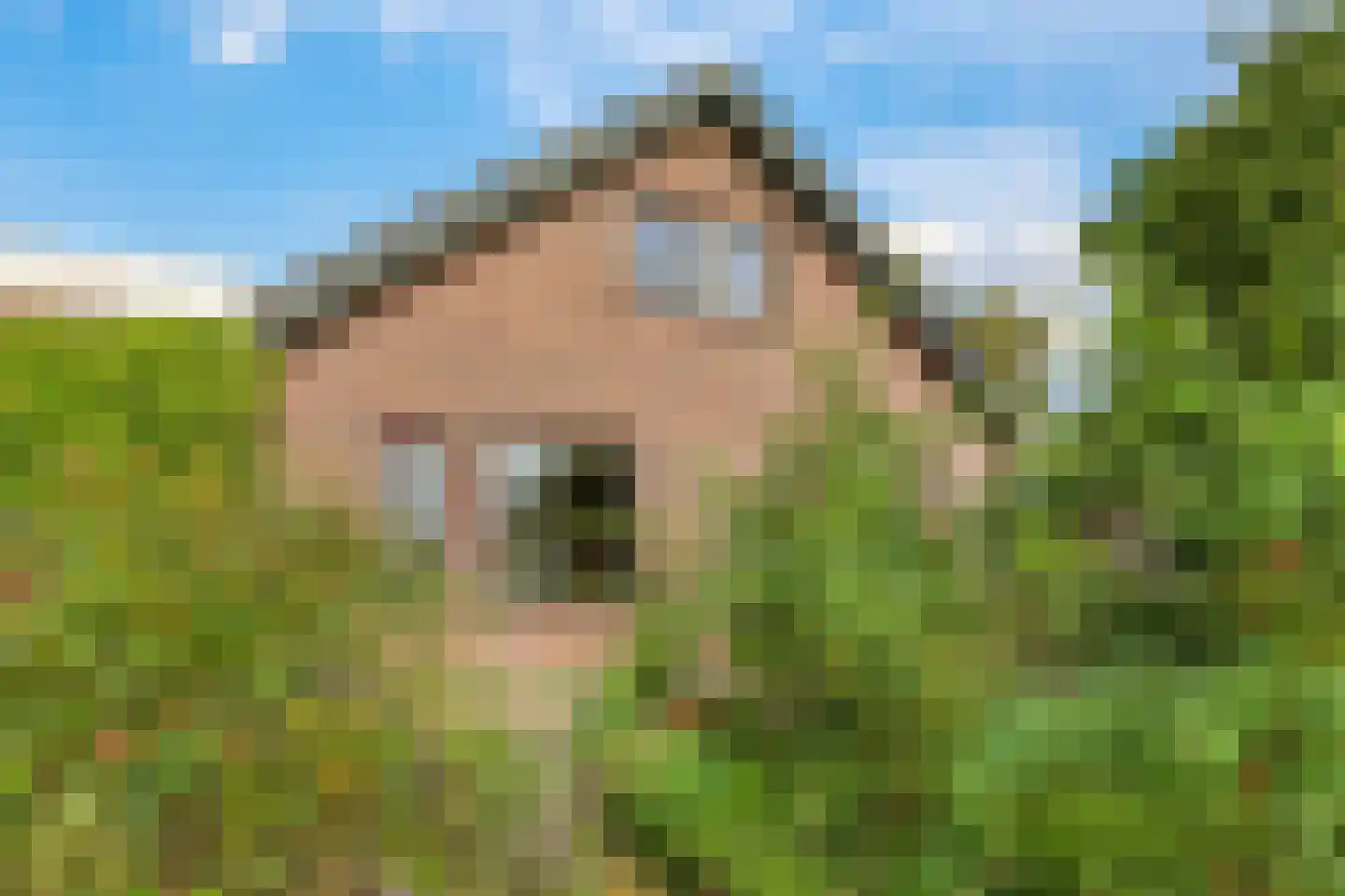 De Hucht 4 Herveld thumbnail 55