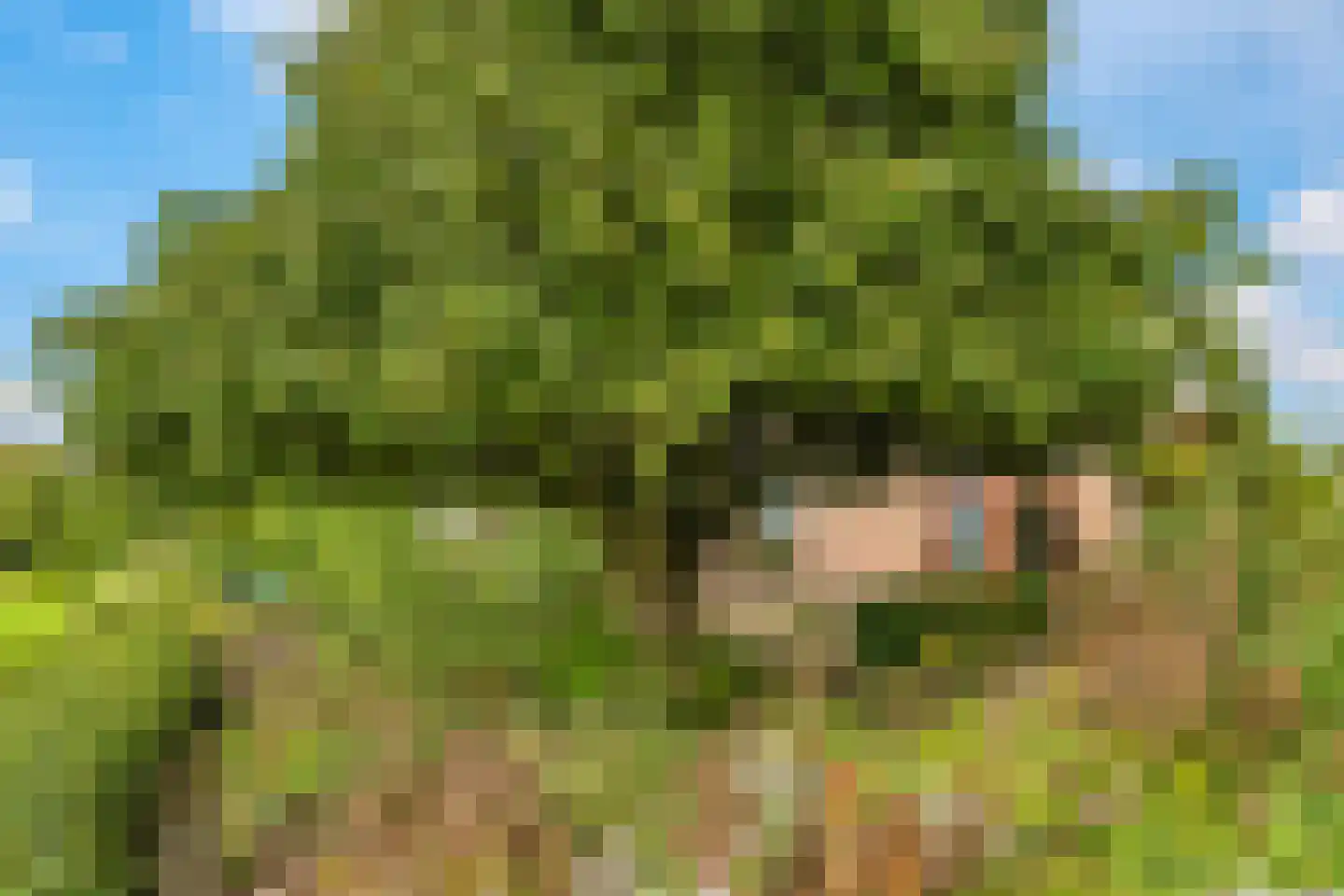 De Hucht 4 Herveld thumbnail 56