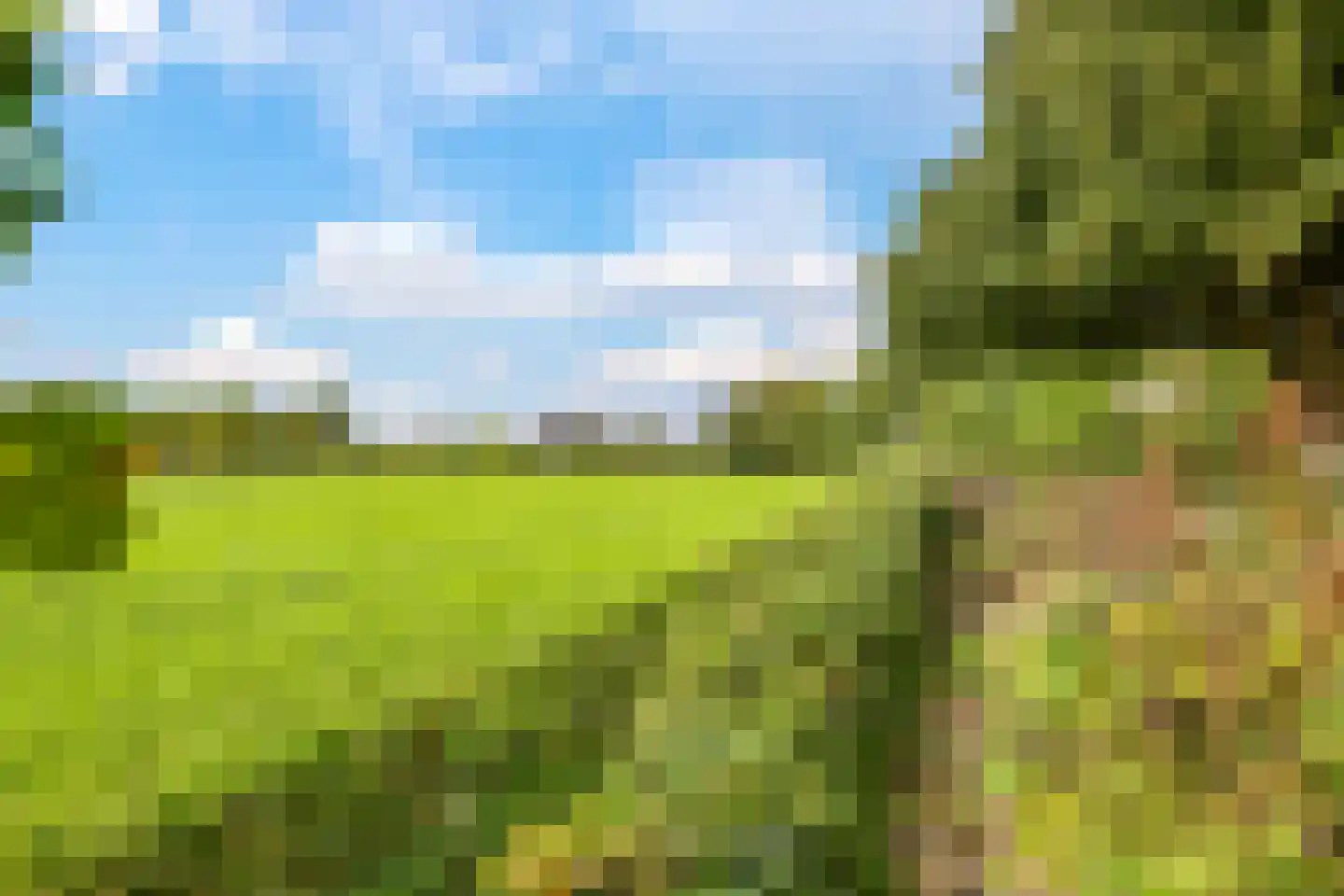 De Hucht 4 Herveld thumbnail 57