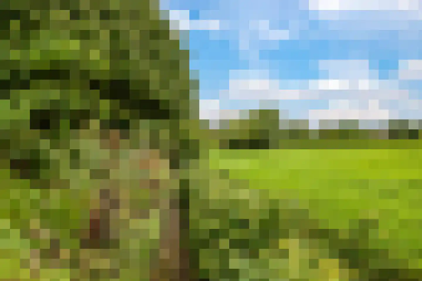 De Hucht 4 Herveld thumbnail 58