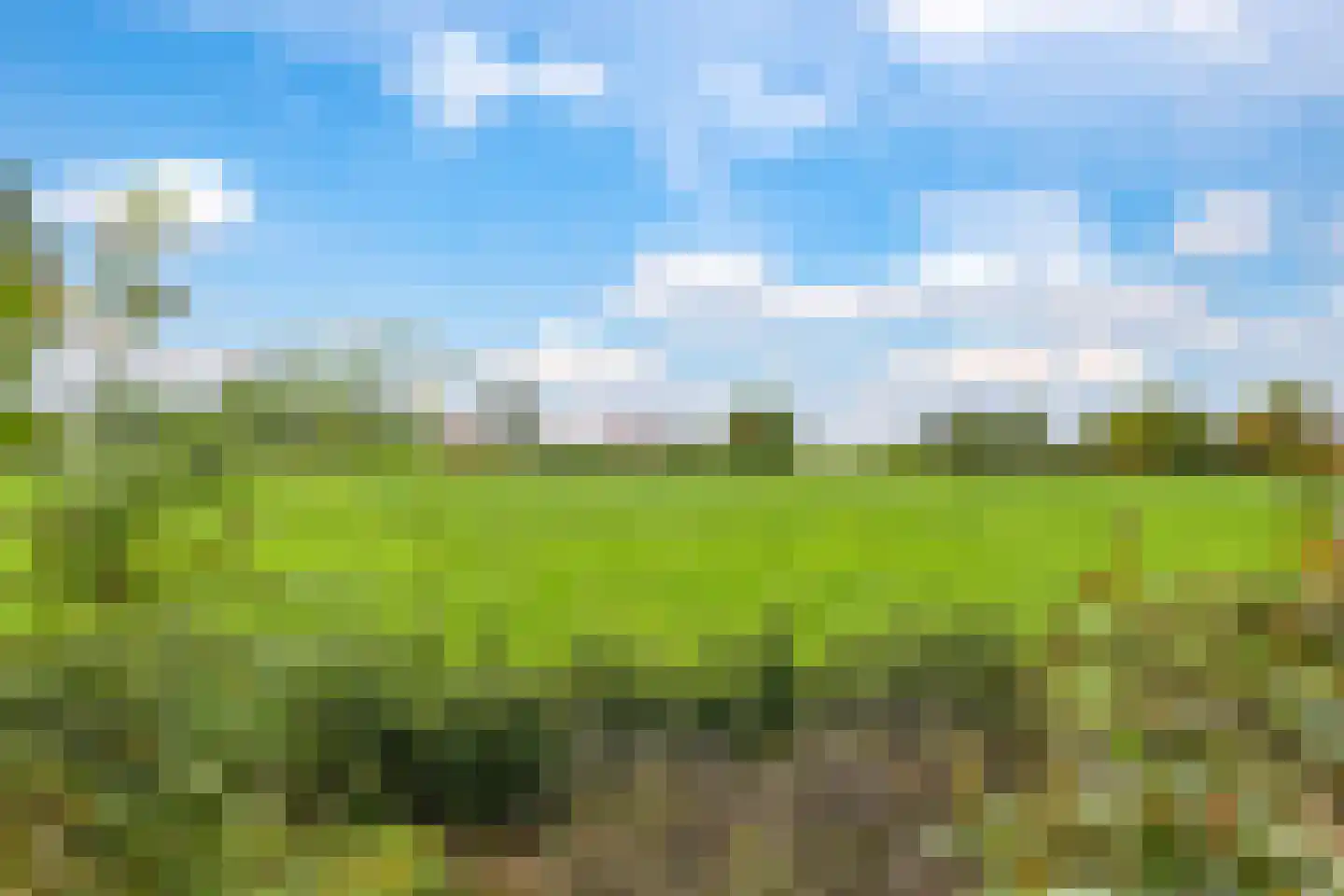 De Hucht 4 Herveld thumbnail 59