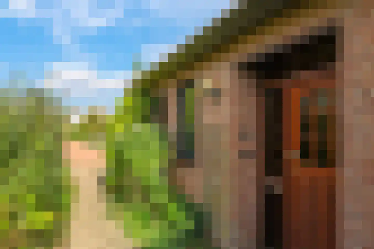 De Hucht 4 Herveld thumbnail 6