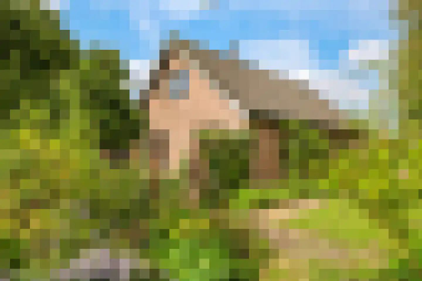 De Hucht 4 Herveld thumbnail 62