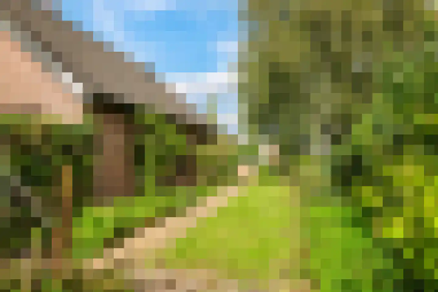 De Hucht 4 Herveld thumbnail 63