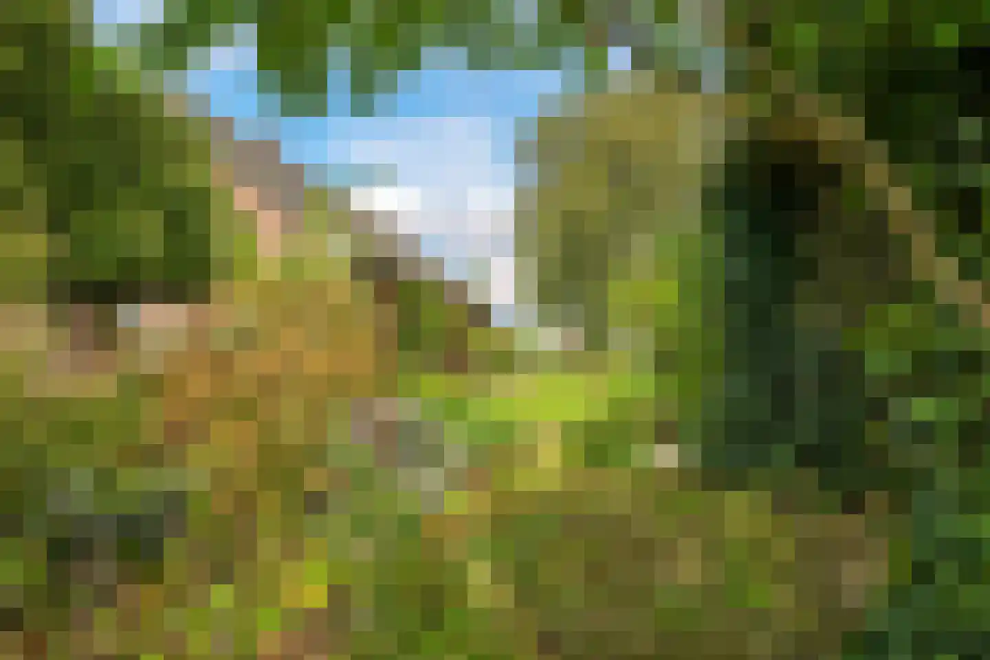 De Hucht 4 Herveld thumbnail 64