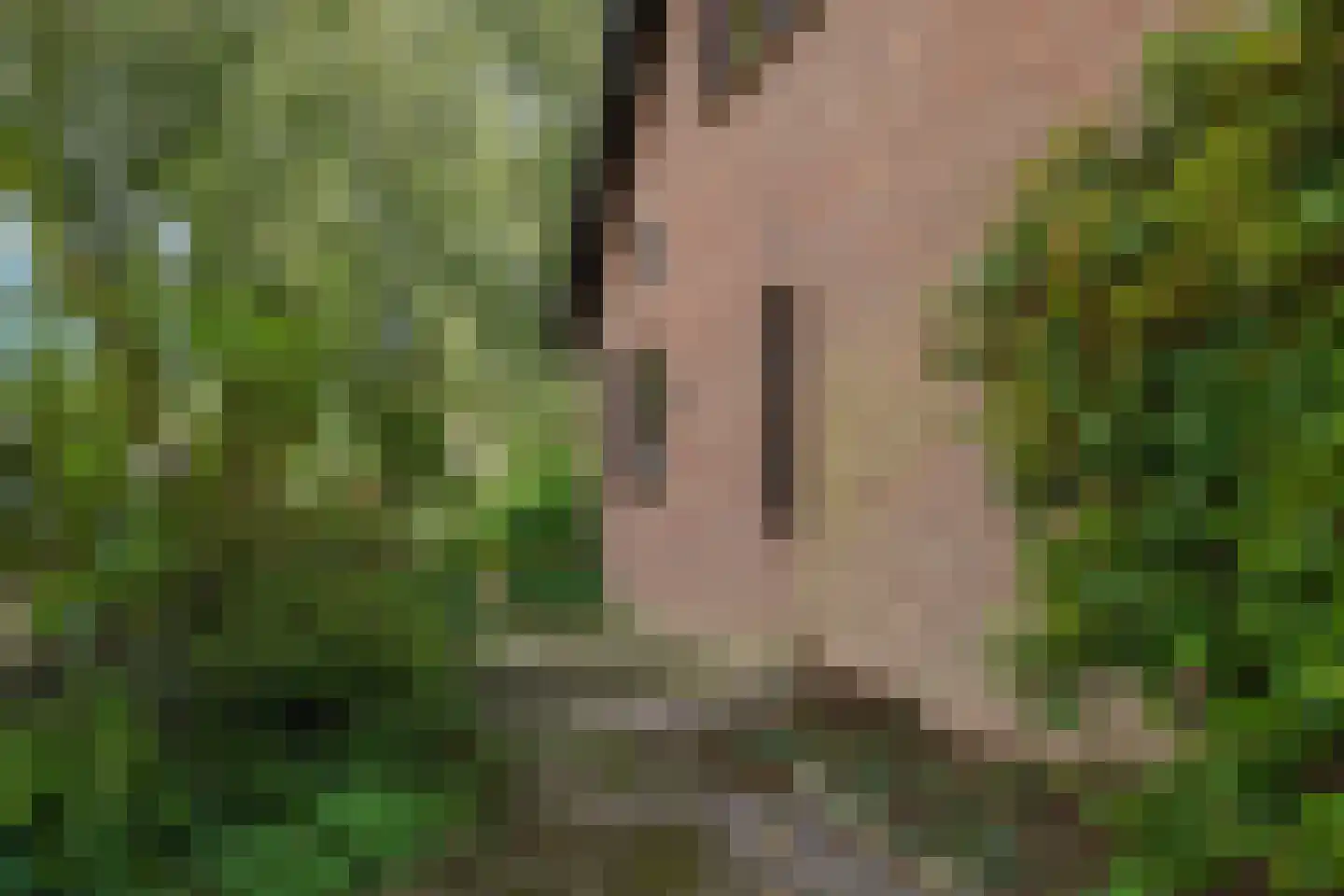 De Hucht 4 Herveld thumbnail 68