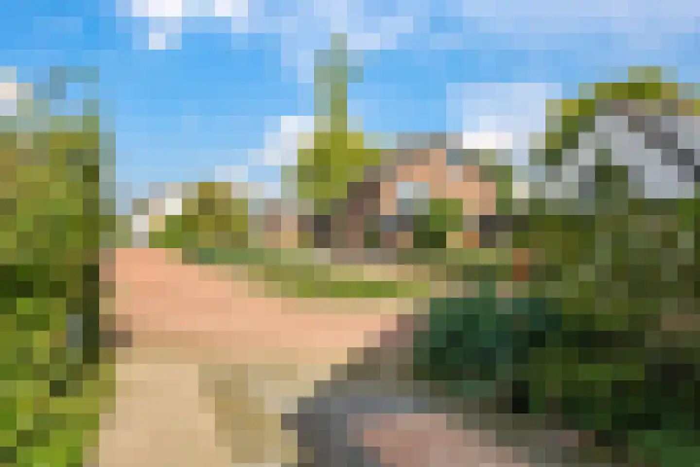 De Hucht 4 Herveld thumbnail 72