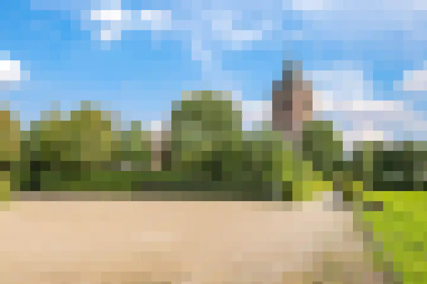 De Hucht 4 Herveld thumbnail 79