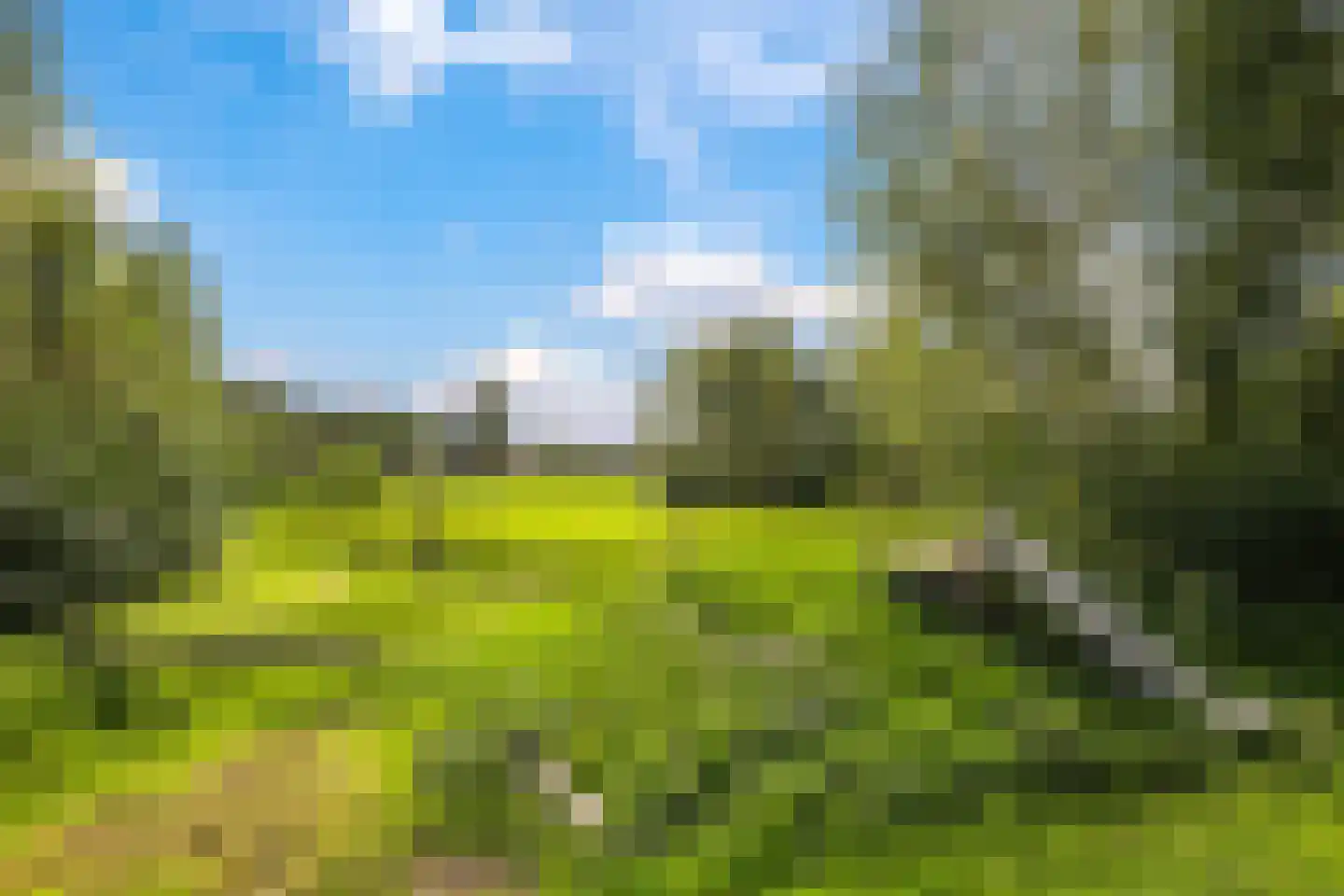De Hucht 4 Herveld thumbnail 80