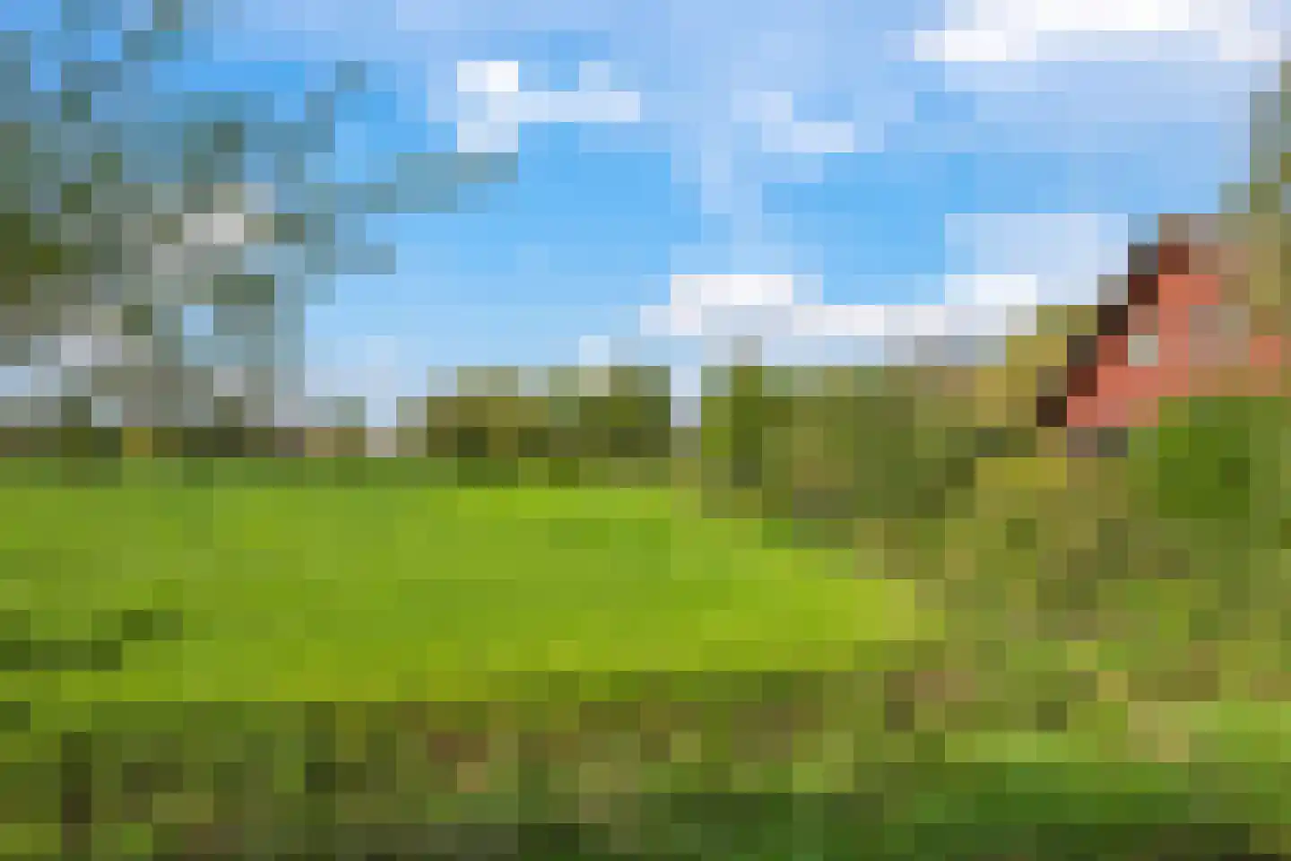 De Hucht 4 Herveld thumbnail 81