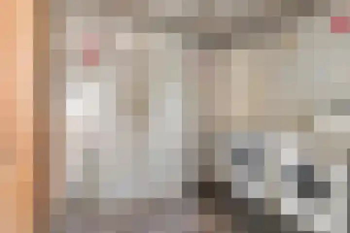 de Hucht 5 Overberg thumbnail 11