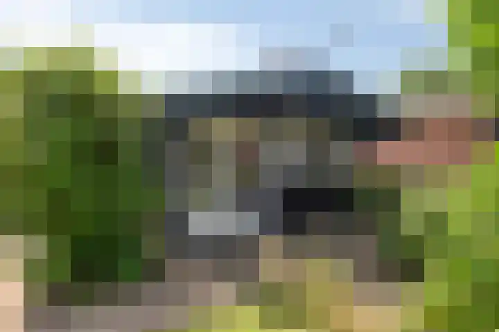 de Hucht 5 Overberg thumbnail 29