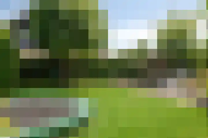 de Hucht 5 Overberg thumbnail 30