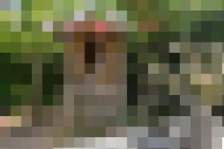 de Hucht 5 Overberg thumbnail 31