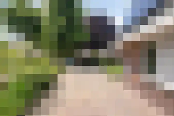 de Hucht 5 Overberg thumbnail 35