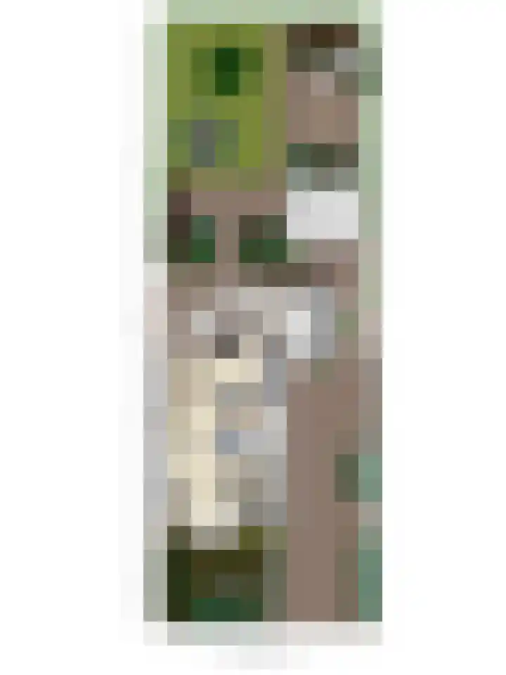 de Hucht 5 Overberg thumbnail 38