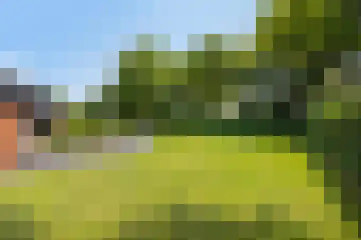 De Hucht 50 's-Heerenberg thumbnail 44